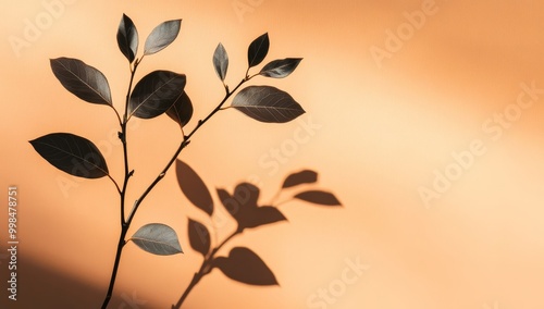 Plant and leaves shadow blurred background. Natural leaves tree branch pink rose gold shadows on white concrete wall texture for backgrounds and backgrounds.