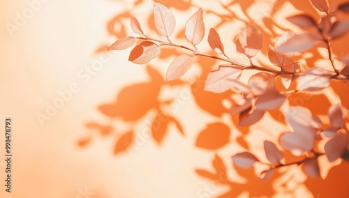 The leaves on a branch are pink rose gold shadows and the sunlight is dappled on the surface of concrete wall for background wallpapers or any type of design.