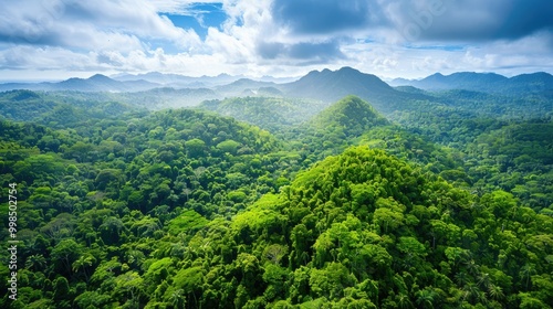 Drone Aerial view of a lush tropical rainforest, with dense canopy covering the landscape