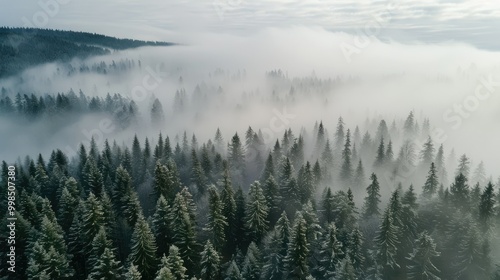 panoramic photograph of steep deep valley canyon rainforest mountains