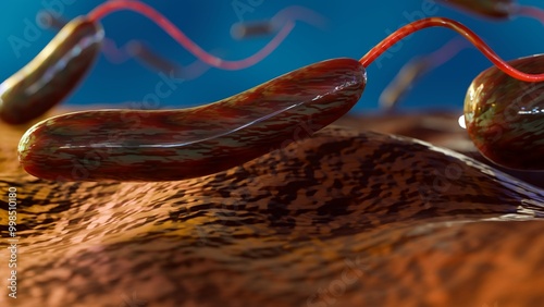 Φωτογραφία 3d rendering of Shewanella are rod-shaped bacteria found in marine environments,