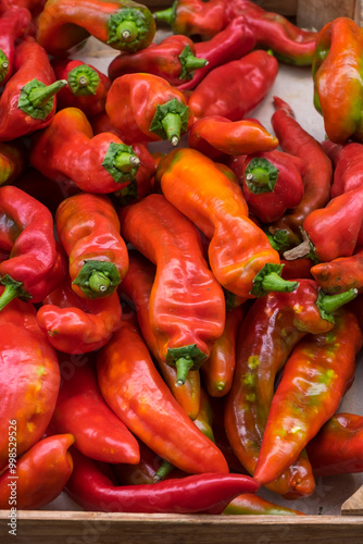 Pimientos rojos picantes en un mercado de Italia photo