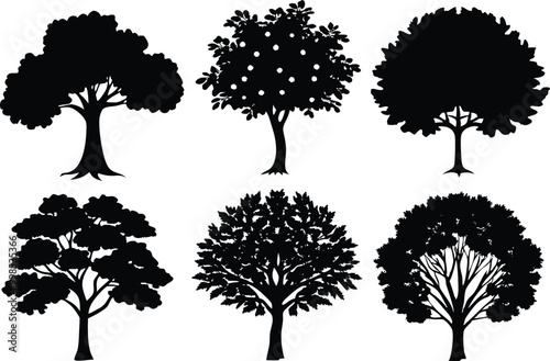 Silhouettes of different kind of Sycamore trees stock illustration.