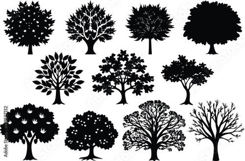 Silhouettes of different kind of Sycamore trees stock illustration.