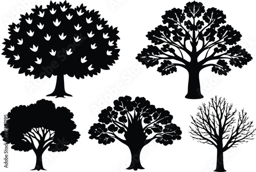 Silhouettes of different kind of Sycamore trees stock illustration.