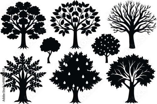 Silhouettes of different kind of Sycamore trees stock illustration.