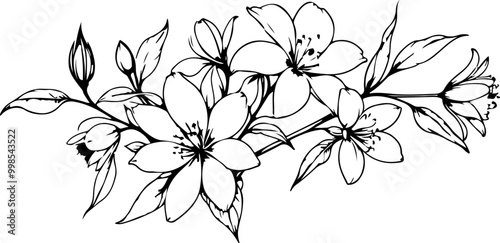 Flowers Line Art Vector Drawing. Linear Drawing of Floral Contour Ornament. Flowers with Leaves Branch Black Sketch Illustration on White Background
