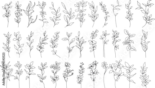 Continuous Line Drawing Of Plants Black Sketch of Leaves Branch Isolated on White Background. Flower with Leaves One Line Illustration. Minimalist Botanical Drawing. Vector	