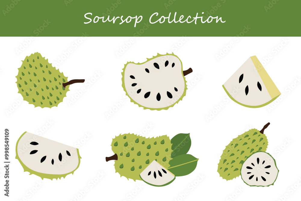 soursop collection in different poses. Vector illustration. soursop collection in different poses. Vector illustration.