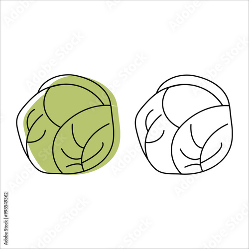 icons, vegetables. cabbage. linear art. healthy food