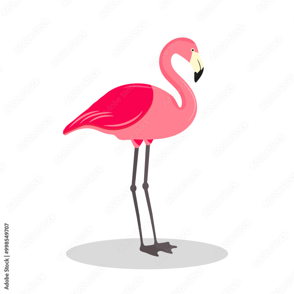 Fototapeta premium Flamingo isolated on white