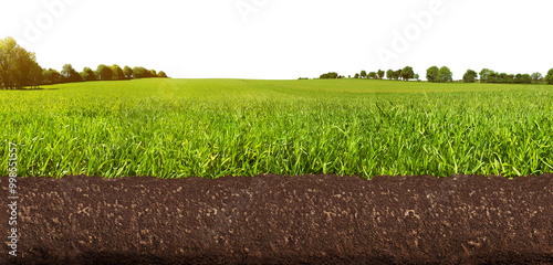 Meadow Panorama with soil and roots - Gound View PNG Background photo