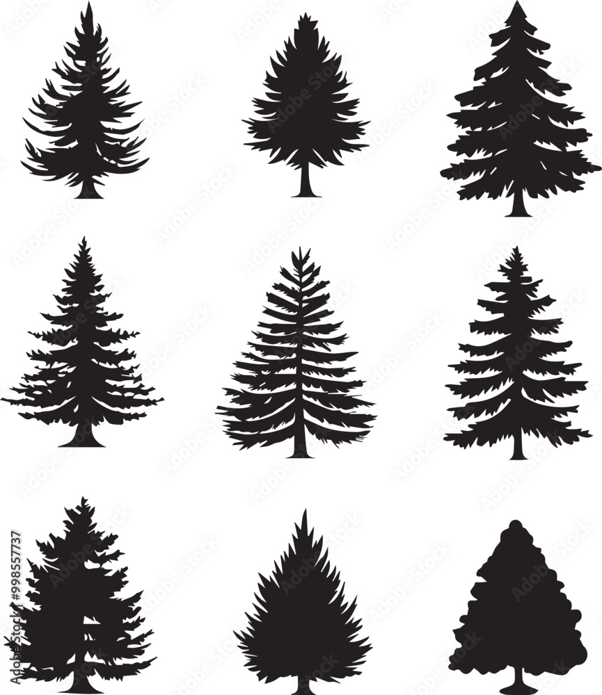 Fototapeta premium Black silhouettes of a pine tree, Evergreen trees, black and white cliparts