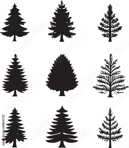 Black silhouettes of a pine tree, Evergreen trees, black and white cliparts