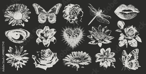 Set of elements Heart, eye, Rose, daisy, butterfly in retro photocopy style. The effect of vintage grunge on romantic details. Vector.