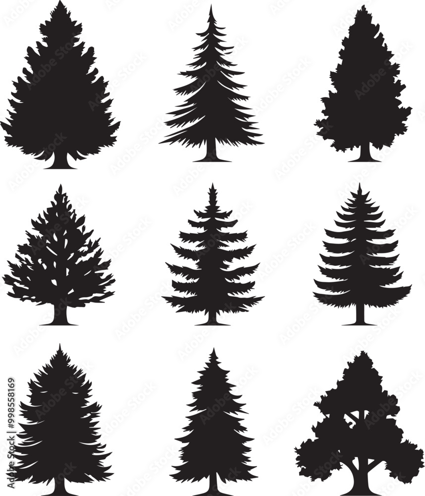 Obraz premium Black silhouettes of a pine tree, Evergreen trees, black and white cliparts