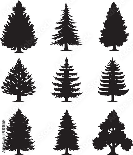Black silhouettes of a pine tree, Evergreen trees, black and white cliparts