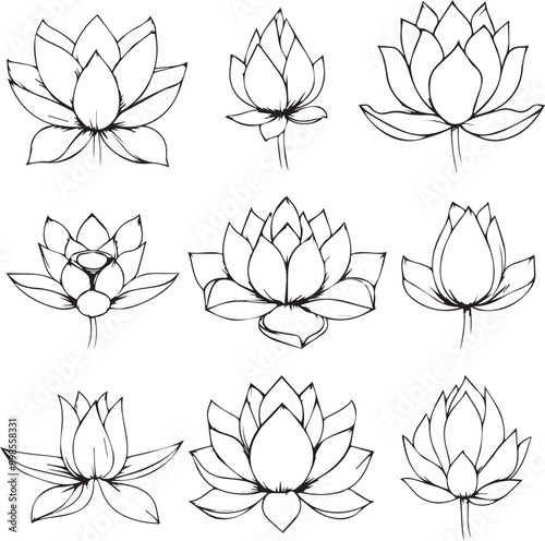 Lotus set Silhouette style, Set vector of flowers and plants