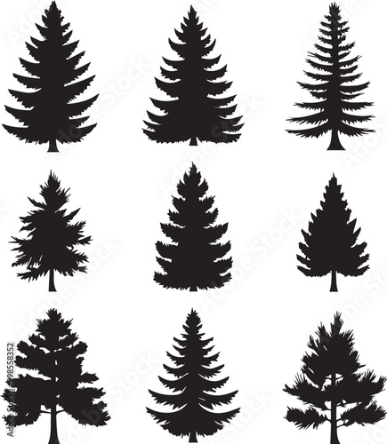 Black silhouettes of a pine tree, Evergreen trees, black and white cliparts