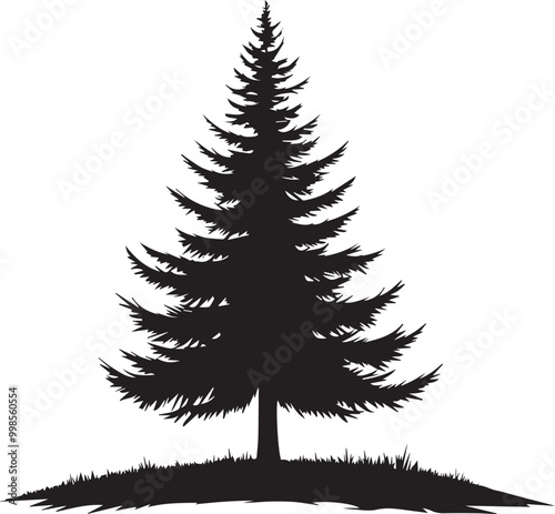 Black silhouettes of a pine tree, Evergreen trees, black and white cliparts