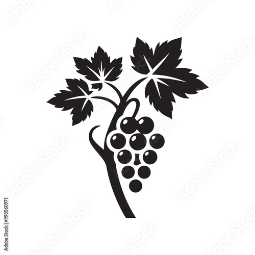 Grapes Decorative Pattern - Beautiful Design for Use in Product Packaging, Wine Labels, and Branding, Offering a Sophisticated Touch for Businesses Focused on Wine, Vineyards, or Natural Products.
