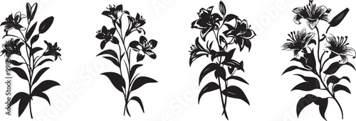 Elegant Lily Flower Bouquet Silhouette Vector in Black and White