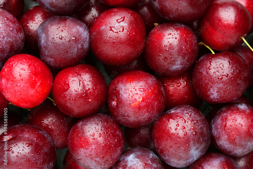 Many fresh plums with water drops as background, top view Many fresh plums with water drops as background, top view