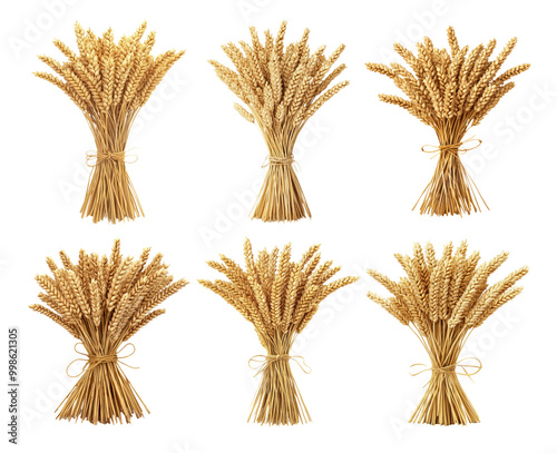 Golden wheat sheaves isolated on transparent background set