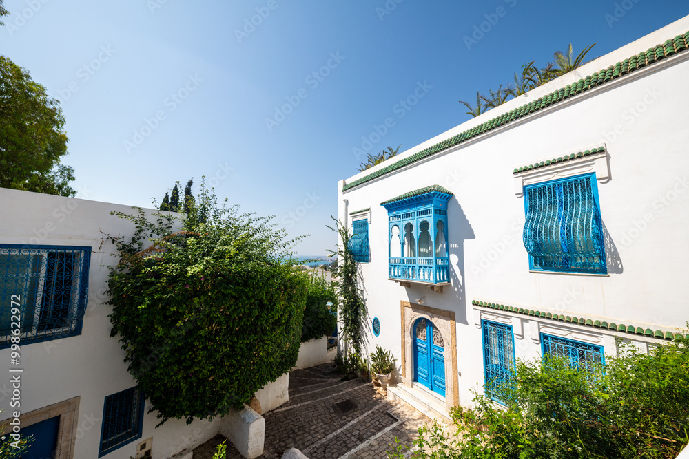 Fototapeta premium Streets of Sidi Bou Said, Tunisia