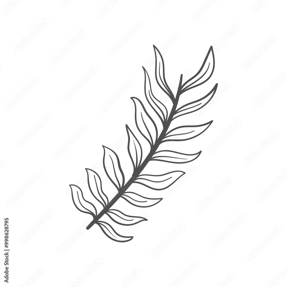 Hand drawn wedding decorative ornaments. Vector illustration Hand drawn wedding decorative ornaments. Vector illustration