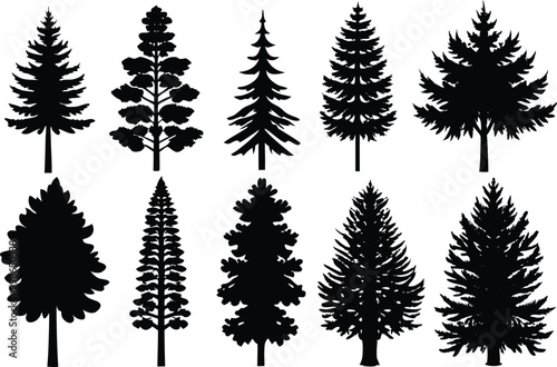 Silhouettes of different kind of Tamarack trees stock illustration.