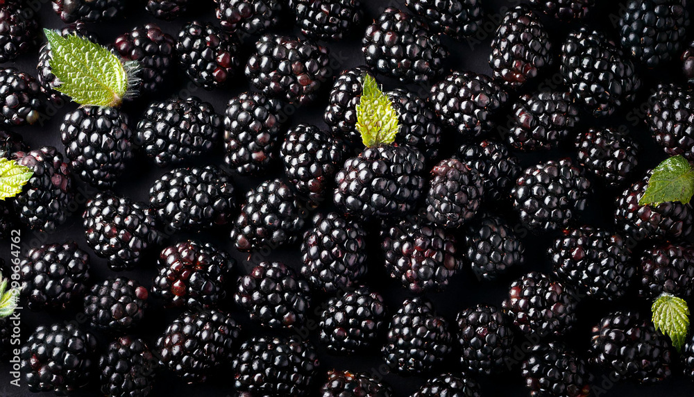 Blackberry fruit flat lay background top view Blackberry fruit flat lay background top view