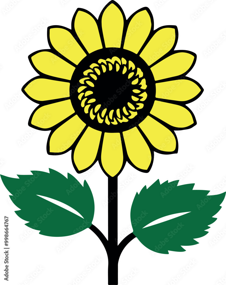 Fototapeta premium sunflower isolated on white background