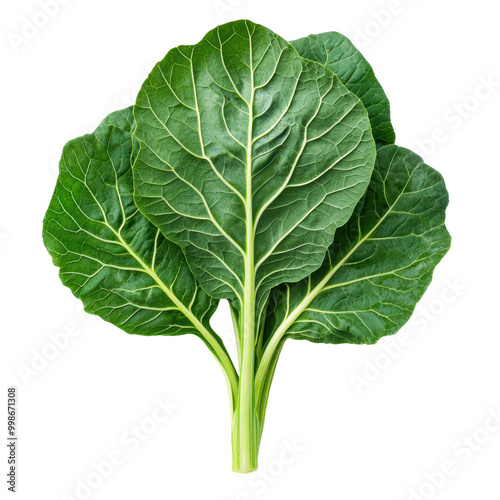 Fresh collard greens with vibrant green leaves