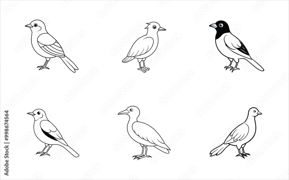 Black and white Bird line art vector set on white background Black and white Bird line art vector set on white background