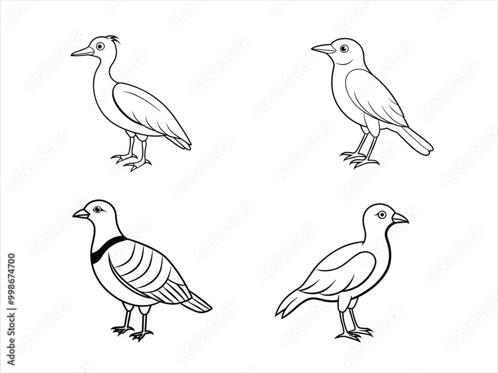 Fototapeta premium Black and white Bird line art vector set on white background