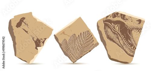 Cut ancient stones with fossilized traces of prehistoric life - bone, t-rex skull, araucaria leaf Paleontology, archeology, animals BC. Graphic excavations elements. Vector illustration