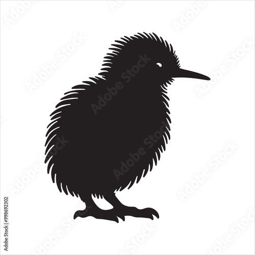 kiwi bird silhouette on white background images
