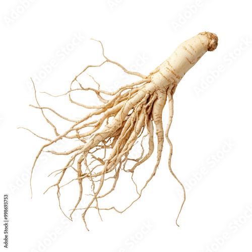 Ginseng root with intricate root structure on transparent background