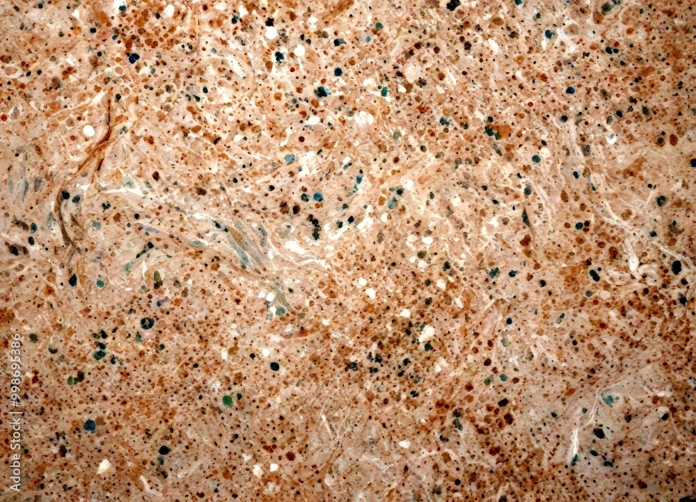 a close-up view textured surface, possibly a stone or concrete material, with a mix of small, irregularly shaped dots in various shades of beige, light brown, and gray a close-up view textured surface, possibly a stone or concrete material, with a mix of small, irregularly shaped dots in various shades of beige, light brown, and gray
