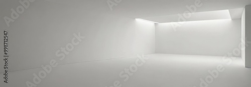 a minimalist, white-themed room with a large skylight, a minimalist white wall, and a minimalist white floor.