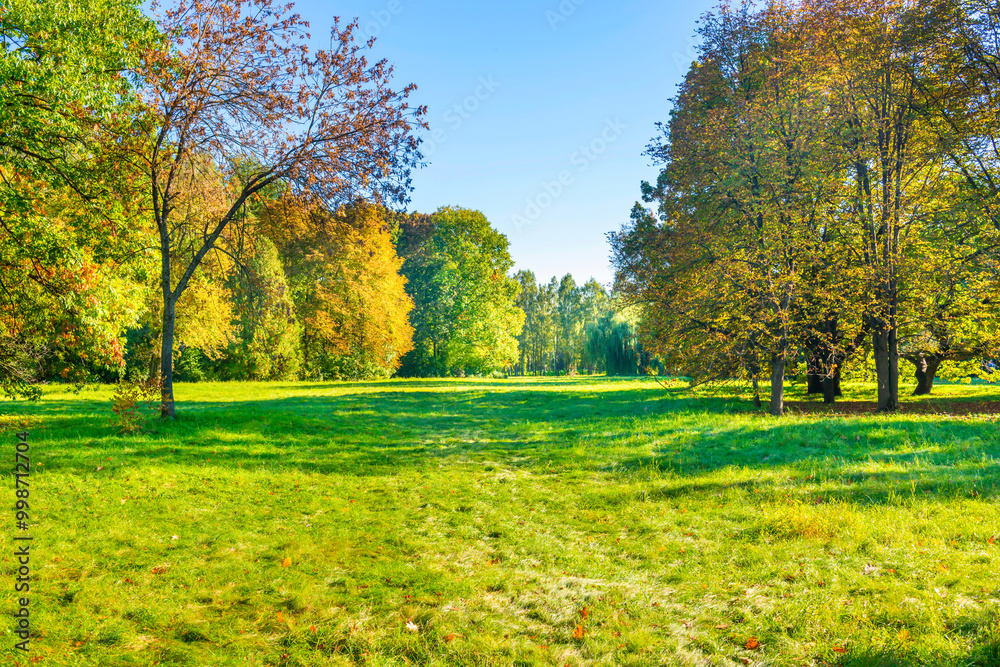 Green field lawn and autumn sunset forest Green field lawn and autumn sunset forest