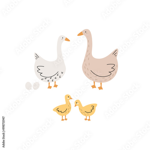 Cute hand drawn goose. Adorable farm birds. Childish print and poster, kids textile and nursery decor. vector cartoon flat isolated illustration