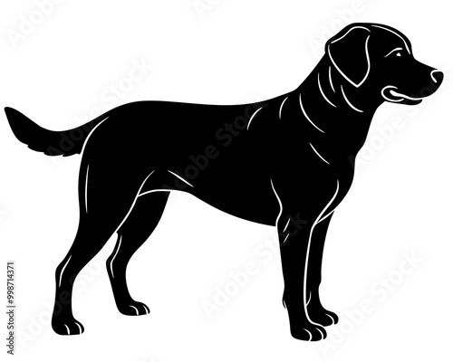 Labrador retriever dog silhouette vector,Dog silhouette,Dog icon