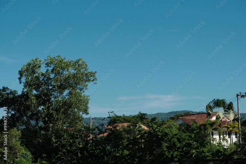 Obraz premium Landscape with trees, rooftops, and blue sky