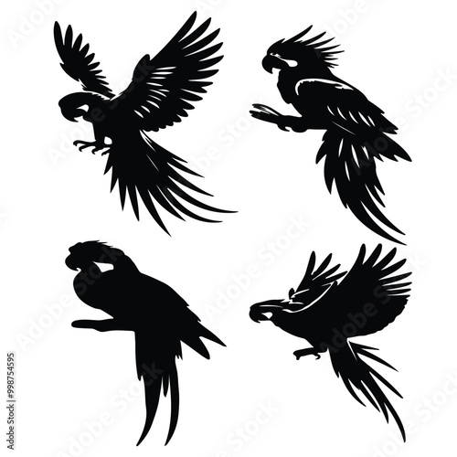 create black silhouette macaw set vector with white background