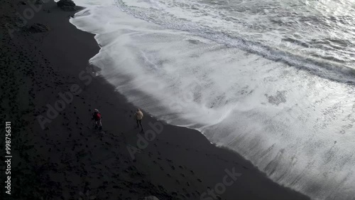 Serene Black Sand Beach in Iceland – Volcanic Coastline Footage