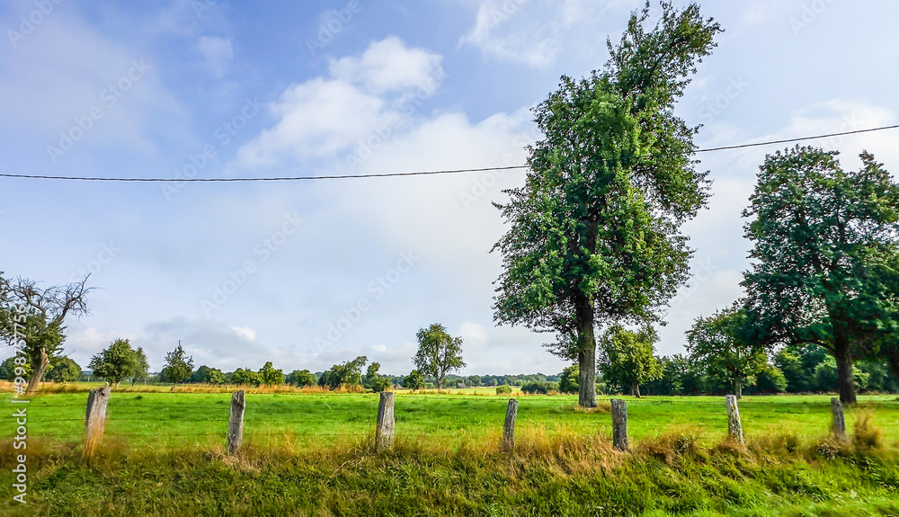 Fototapeta premium Verdant fields in the Orne countryside on a summer day, Normandy France 