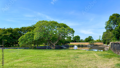Beautiful natural scenery, trees and lakes