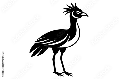 black and white peacock